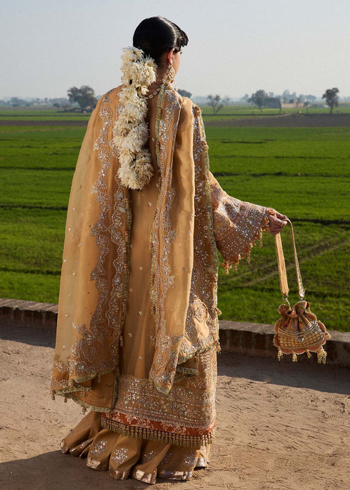 Hussain Rehar Organza Suit Sundal