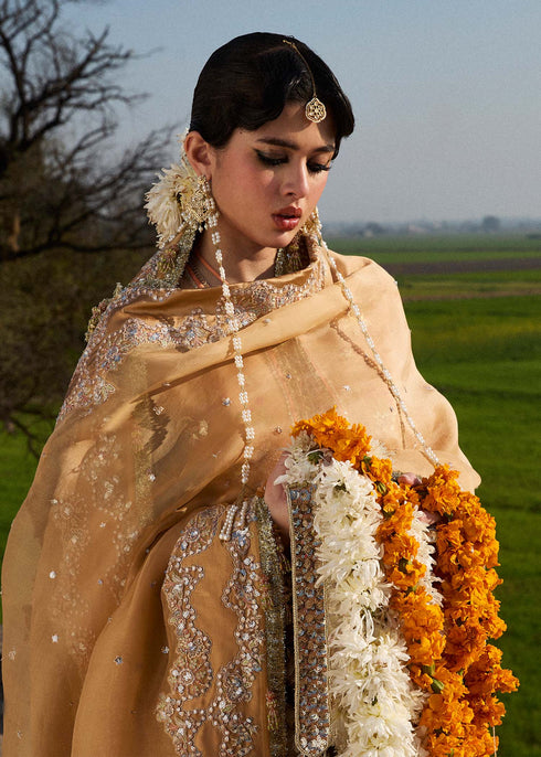 Hussain Rehar Organza Suit Sundal