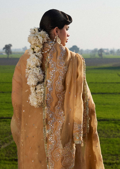 Hussain Rehar Organza Suit Sundal