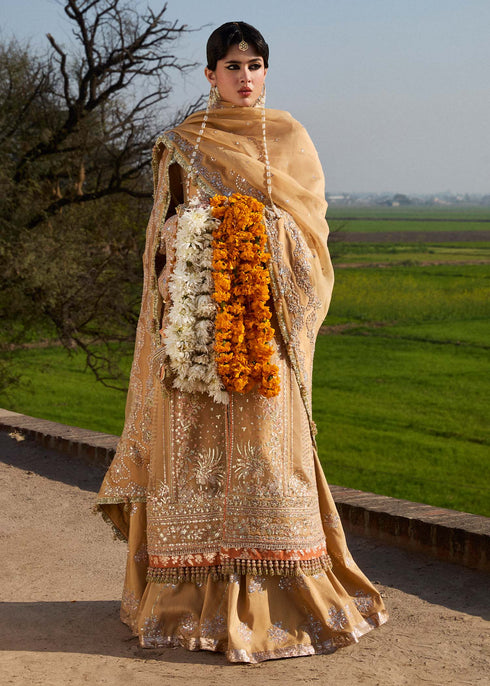 Hussain Rehar Organza Suit Sundal