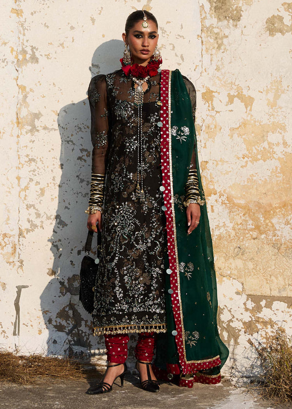 Hussain Rehar Organza Suit Shama