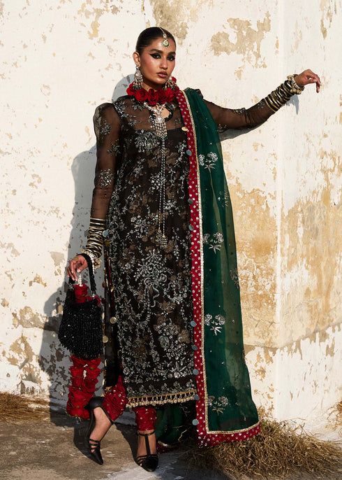 Hussain Rehar Organza Suit Shama