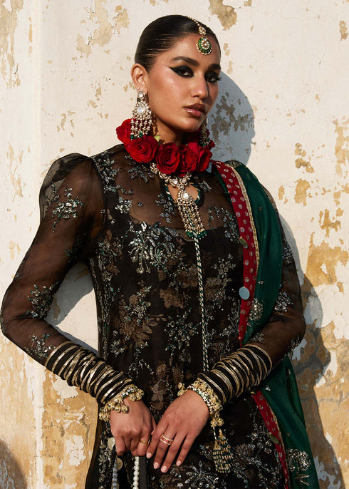 Hussain Rehar Organza Suit Shama