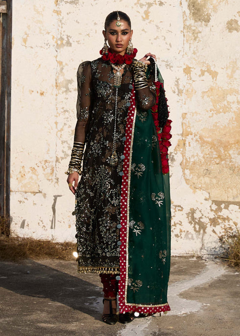 Hussain Rehar Organza Suit Shama