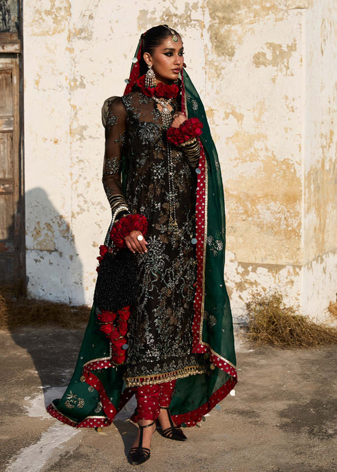 Hussain Rehar Organza Suit Shama