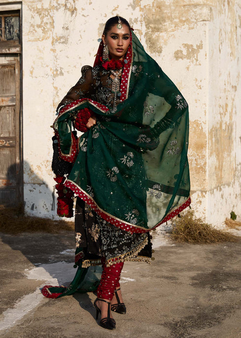 Hussain Rehar Organza Suit Shama