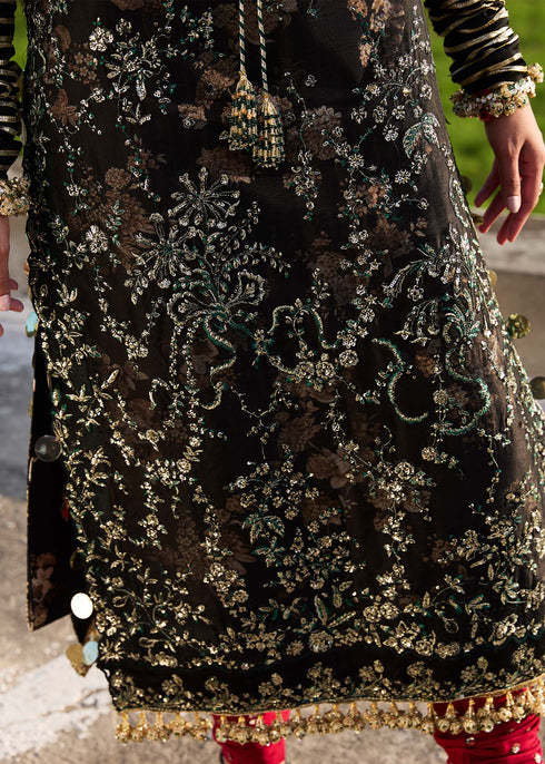 Hussain Rehar Organza Suit Shama