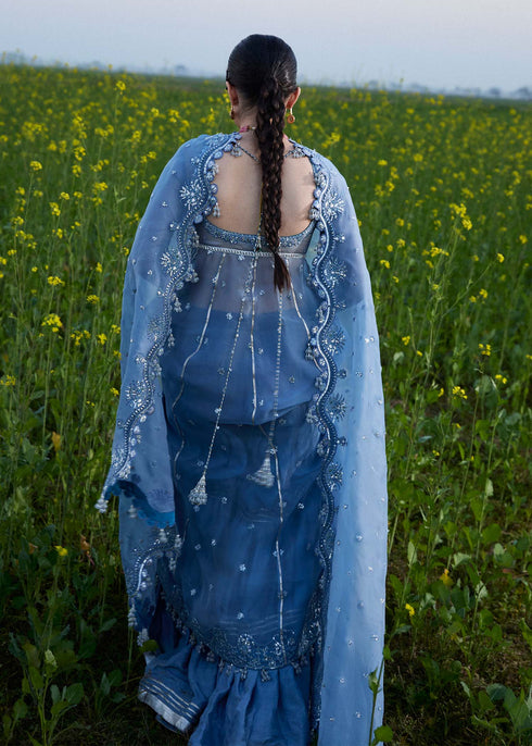 Hussain Rehar Organza Suit Mira