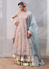 Hussain Rehar Organza Suit Ziniya