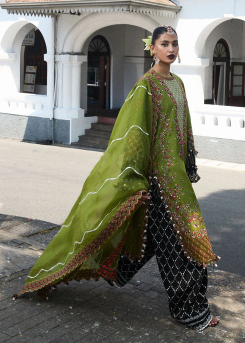 Hussain Rehar Embroidered Lawn Suit Abass