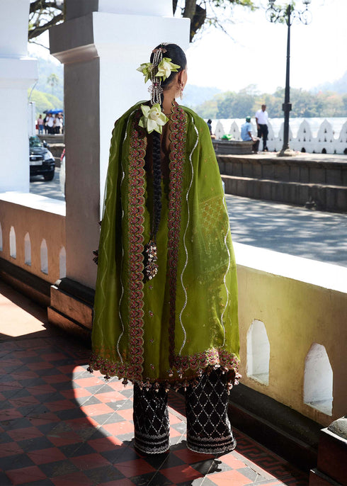 Hussain Rehar Embroidered Lawn Suit Abass