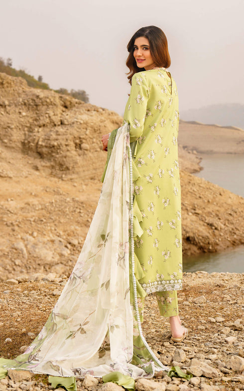 Asifa Nabeel Digital printed Lawn 3 Piece suit LARA-U141M010