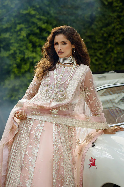 Mushq Embroidered Net Suit Starlet Sparkle