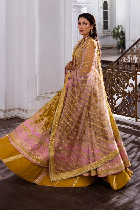 Erum Khan JAHAN IV- Sunberry