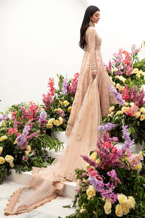 Zaha Embroidered Net 3 Piece NEDA