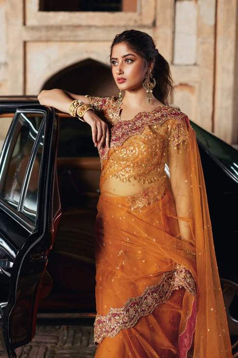 Qalamkar Embroidered Net Sari SH-02