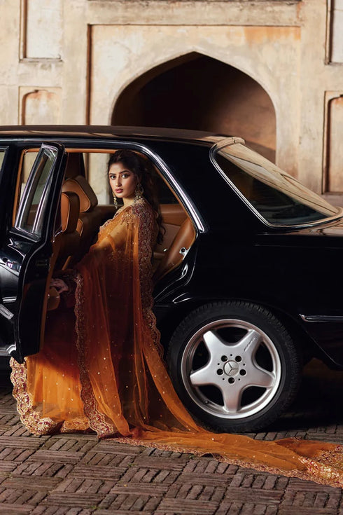 Qalamkar Embroidered Net Sari SH-02