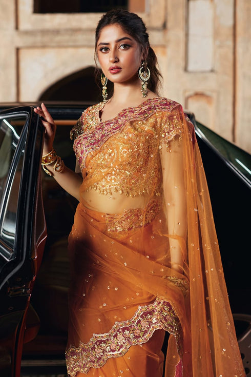 Qalamkar Embroidered Net Sari SH-02