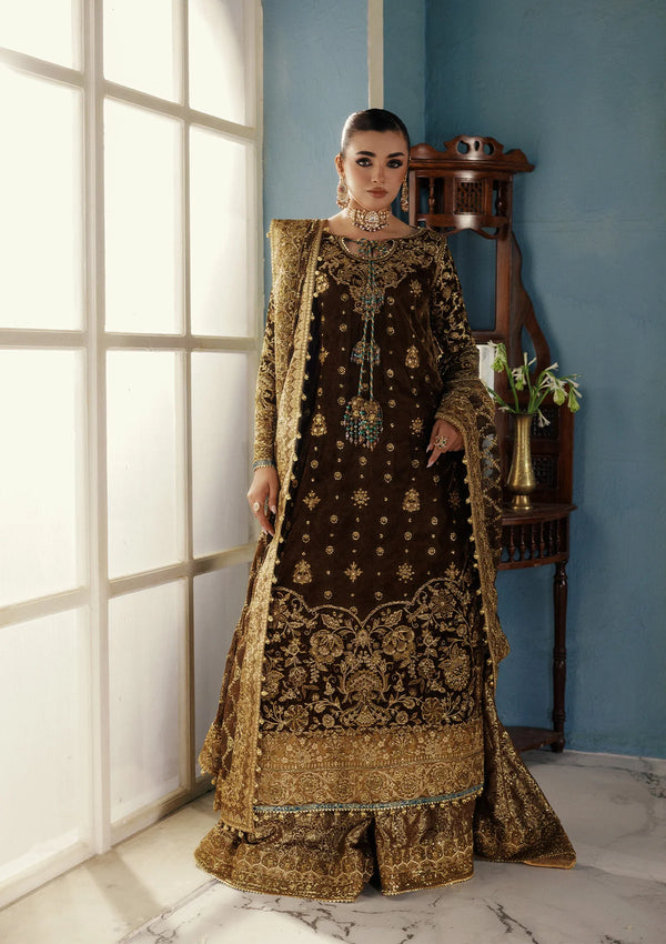 Aik Aitler Embroidered Velvet Suit UDAIPUR - LOOK 01