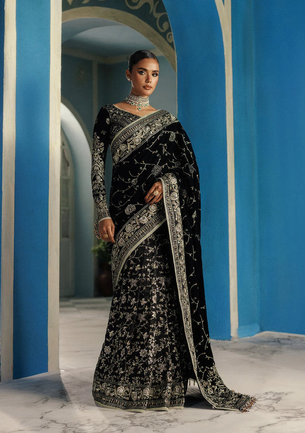 Aik Aitler Embroidered Velvet  Saree UDAIPUR - LOOK 04