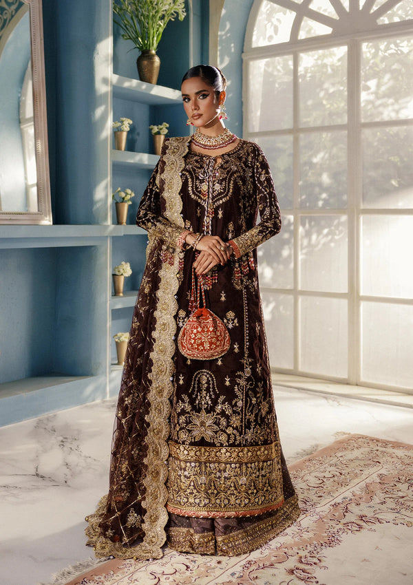 Aik Aitler Embroidered Velvet Suit UDAIPUR - LOOK 06