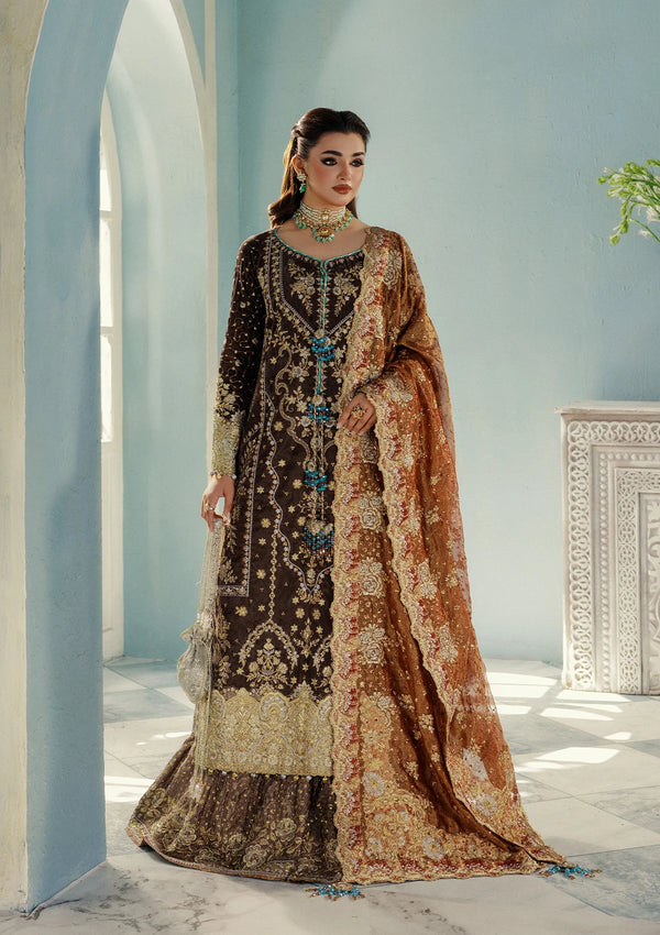 Aik Aitler Embroidered Velvet Suit UDAIPUR - LOOK 07