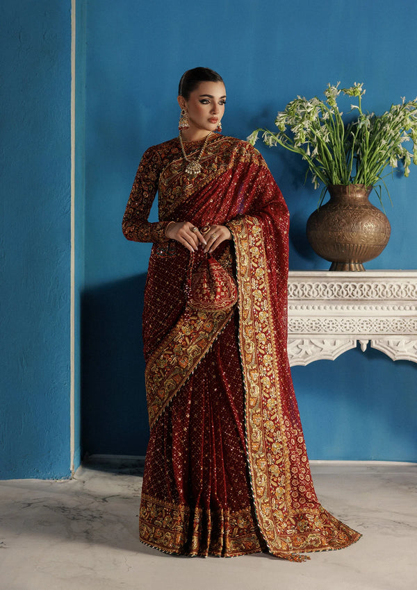 Aik Aitler Embroidered Velvet  Saree UDAIPUR - LOOK 09