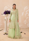 AIK Embroidered Medium Silk Suit- Look B2601