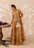 AIK Embroidered Net Suit- Look Look B2603
