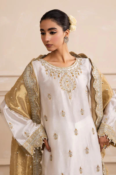 Maryum N Maria Embroidered Organza Suit MW40033