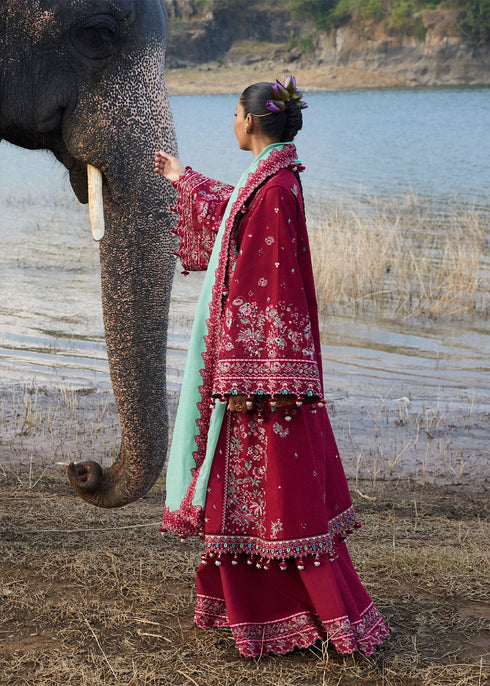 Hussain Rehar Embroidered Lawn Suit Mahogany