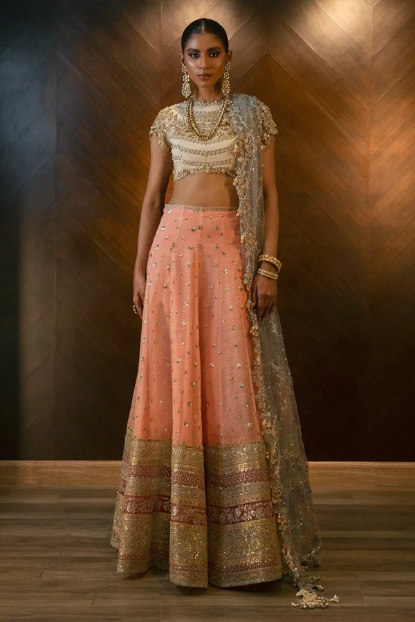Sana Safinaz Embroidered Organza 3 Piece Suit N232-004-CT