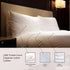 100% Egyptian Cotton 800 Thread Count Flat Bed Sheets - White