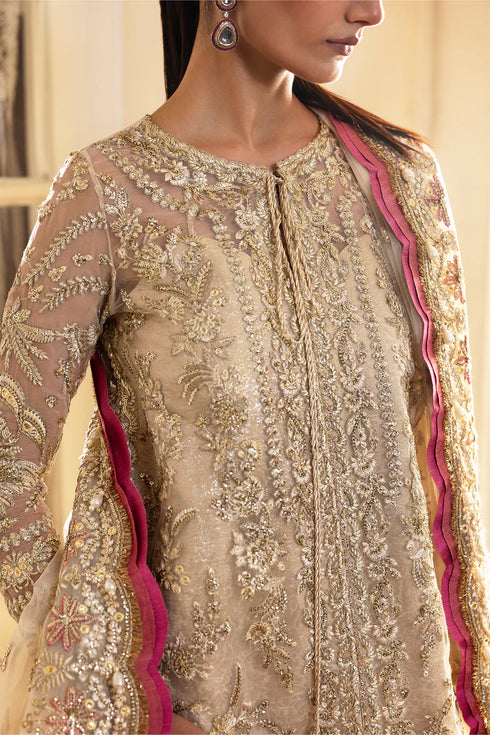 Afrozeh Emboridered Organza Suit Silkdawn