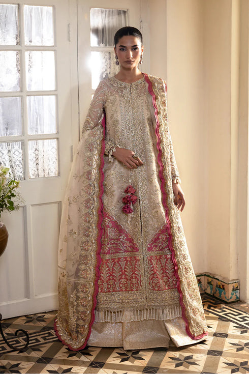 Afrozeh Emboridered Organza Suit Silkdawn