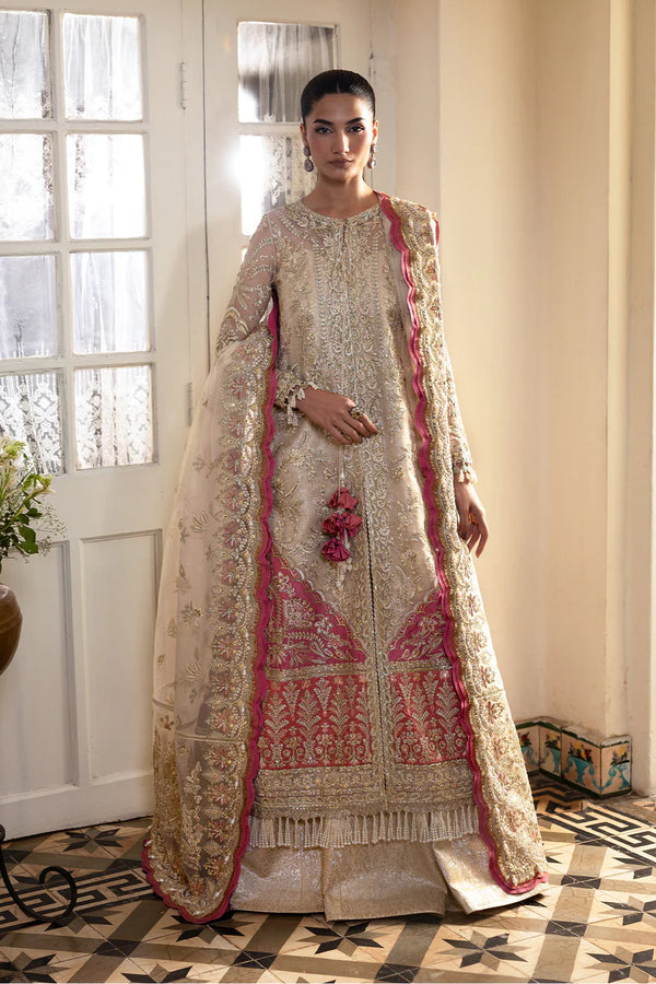 Afrozeh Emboridered Organza Suit Silkdawn