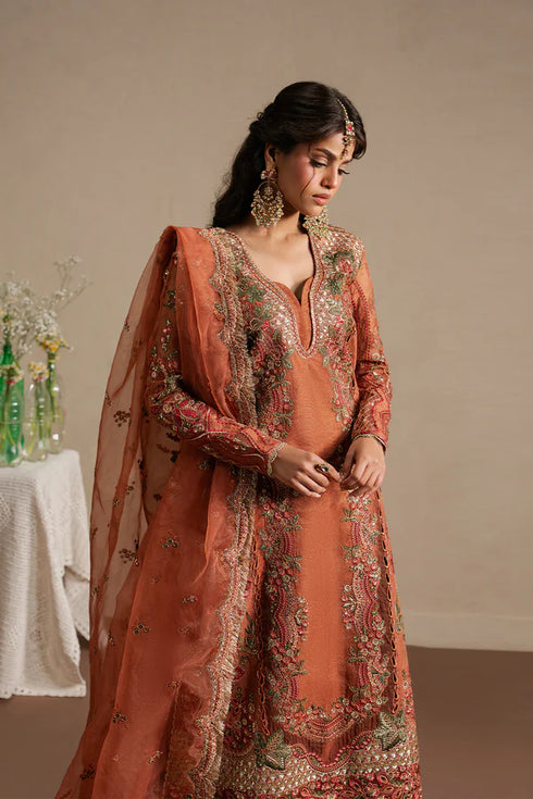 Ayzel Embroidered Organza Suit Sahaara