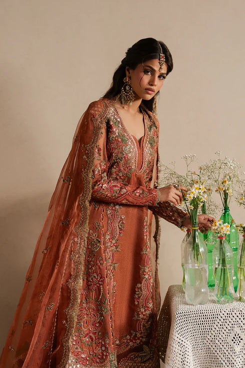 Ayzel Embroidered Organza Suit Sahaara