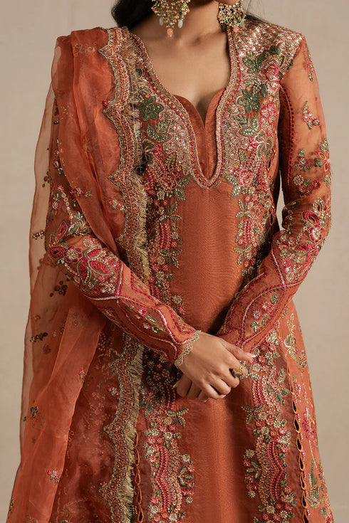 Ayzel Embroidered Organza Suit Sahaara