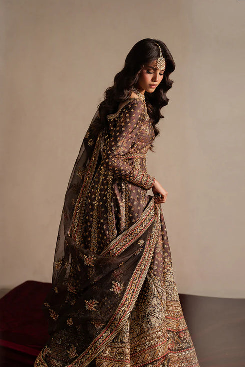 Ayzel Embroidered Organza Suit Nazaakat