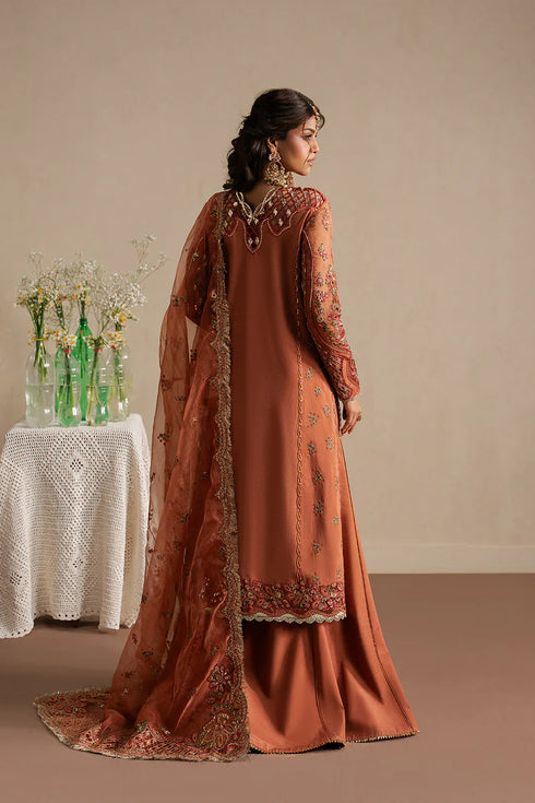 Ayzel Embroidered Organza Suit Sahaara