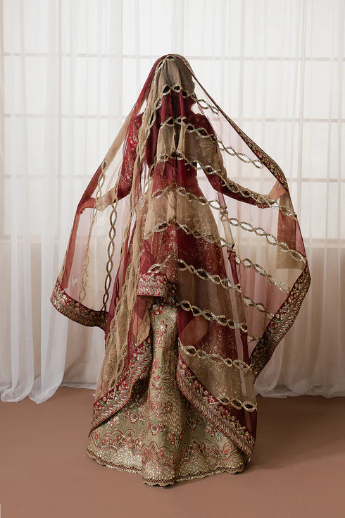 Ayzel Embroidered Organza Suit Mulaaqaat