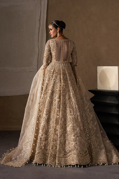 Afrozeh Organza Embellished Emboridered Catarine