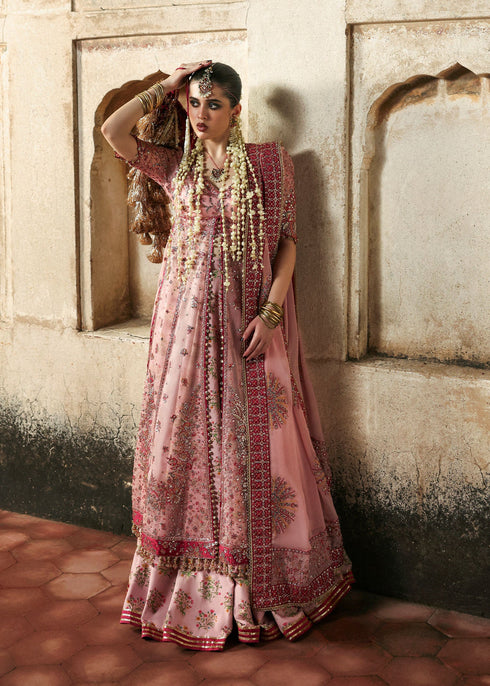 Hussain Rehar Embroidered Orgnaza Suit Roshanara