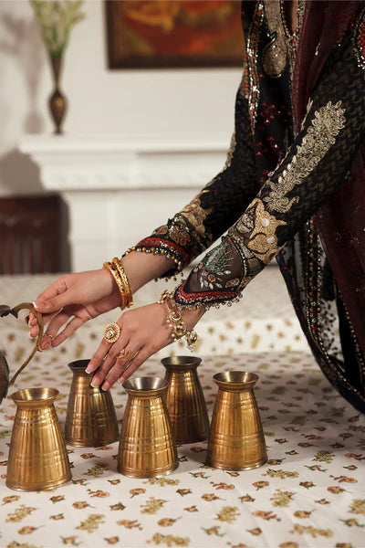 Afrozeh Emboridered Organza Suit Dhanak