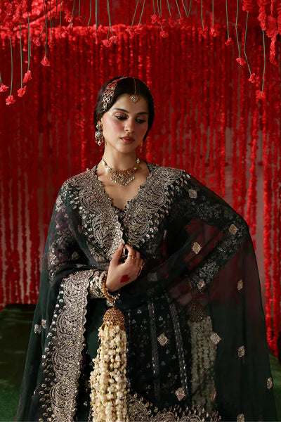 Afrozeh Emboridered Organza Suit Shonglam