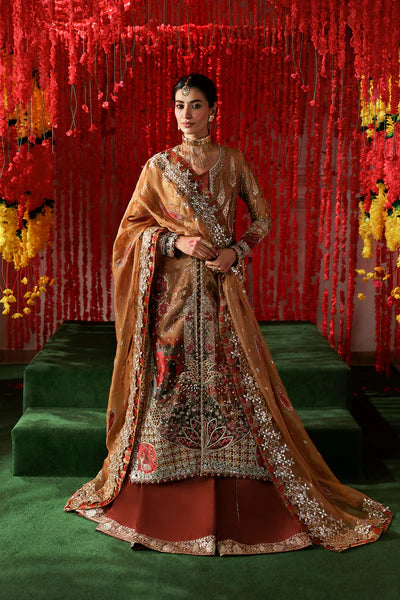 Afrozeh Emboridered Tissue Zari  Suit Poshna