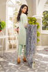 Lush Embroidered Organza 3 Piece Suit L-111
