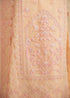 Akbar Aslam Organza Embroidered  suit IRENE