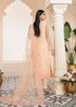 Akbar Aslam Organza Embroidered  suit IRENE